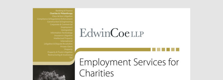 Employment services for charities factsheet cover