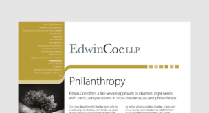 Philanthropy Factsheet