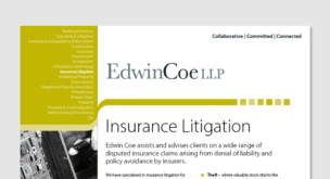 Insurance Litigation Factsheet