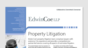 Property Litigation Factsheet